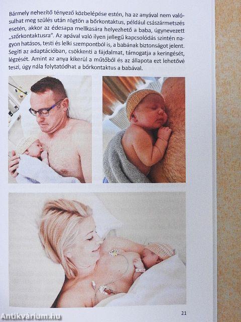 Babusgató kézikönyv