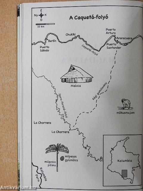 Negyven nap a dzsungel fogságában