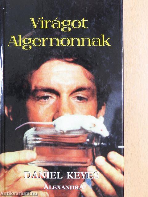 Virágot Algernonnak