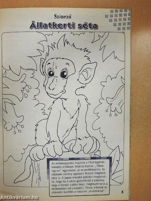 Suli Tappancs másodikosoknak 141.