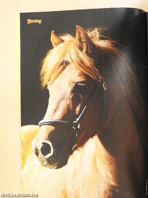 Suli Tappancs másodikosoknak 141.