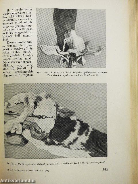 Állatorvosi szülészeti műtéttan