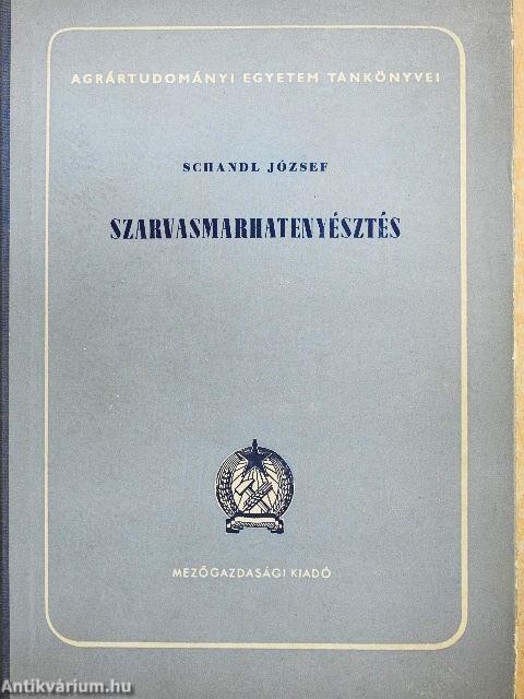 Szarvasmarhatenyésztés