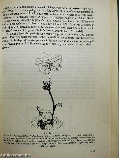 Növényi növekedés - élettan