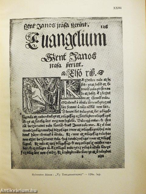 A magyar nyelvemlékek