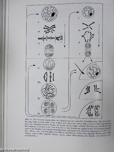 Molekulare Biologie der Zelle