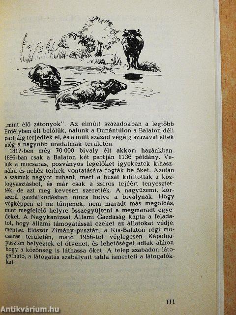 A balatoni üdülőkörzet természeti értékei