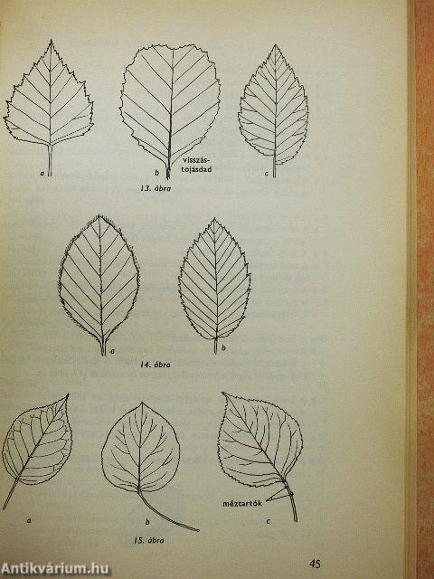 Kis növényhatározó