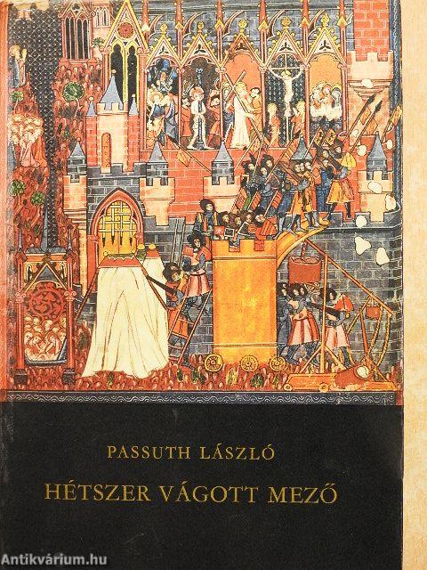 Hétszer vágott mező