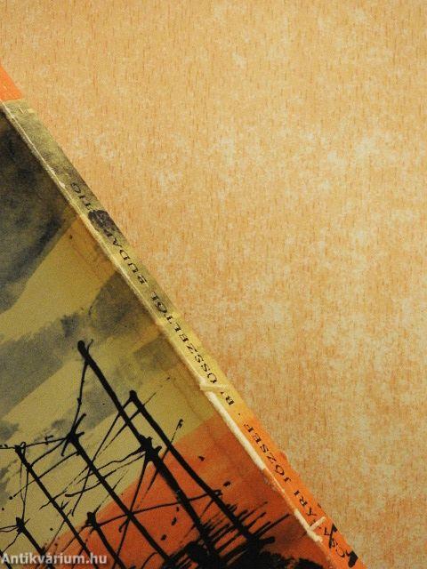 Brüsszeltől Budapestig