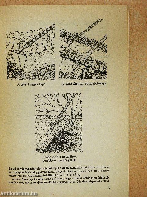 Így csináltunk házikertet