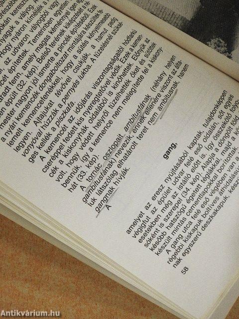 Temerin népi építészete