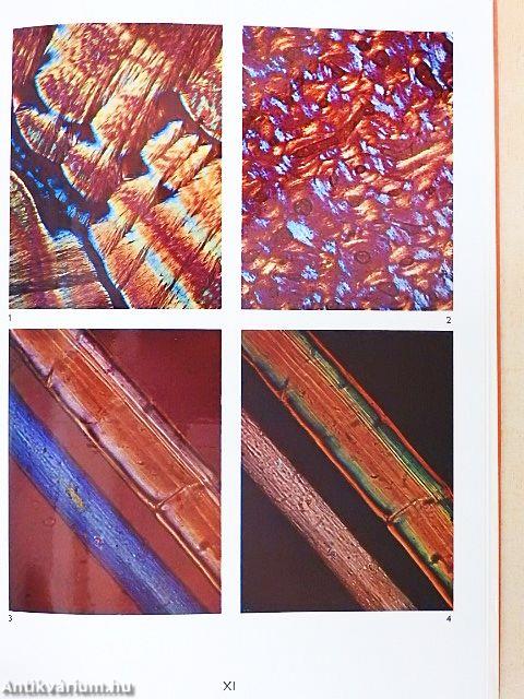 Medical Colour Photomicrography