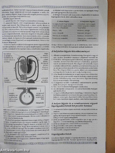 Az egészséges életmód alapjai 3.