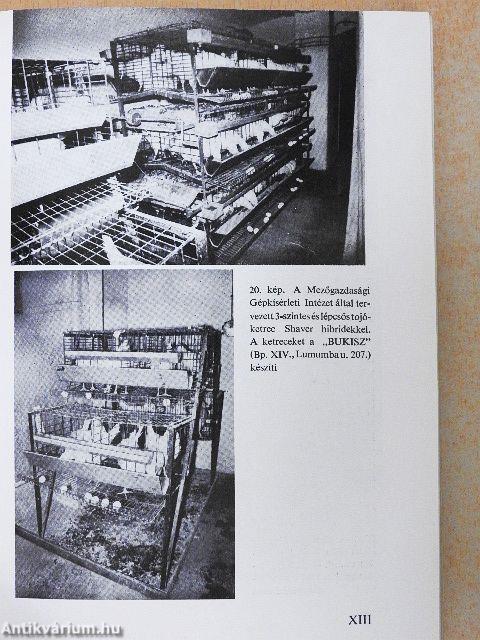 Jövedelmező állattartás a háztájon