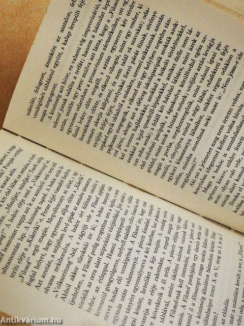 A szerelem bolondjai