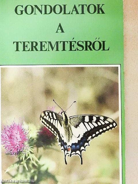 Gondolatok a teremtésről