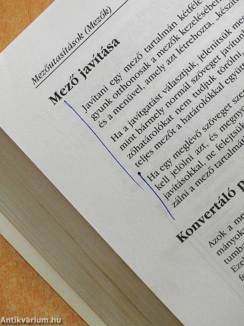 Word for Windows '95