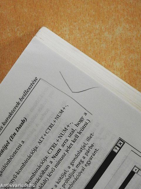 Word for Windows '95