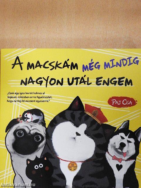 A macskám még mindig nagyon utál engem