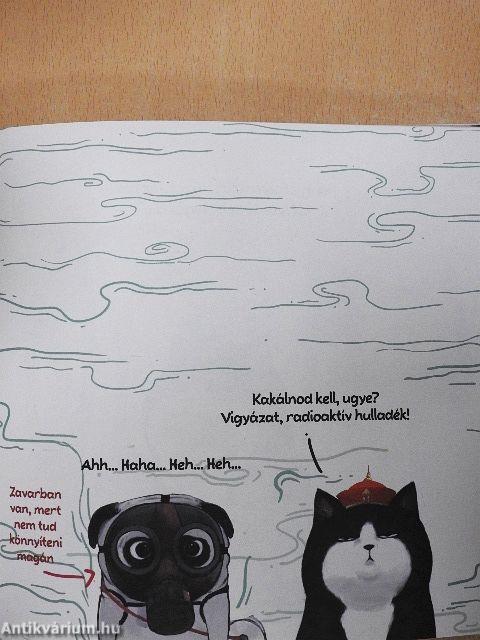 A macskám még mindig nagyon utál engem