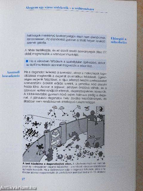 Az immunrendszer erősítése természetes módon
