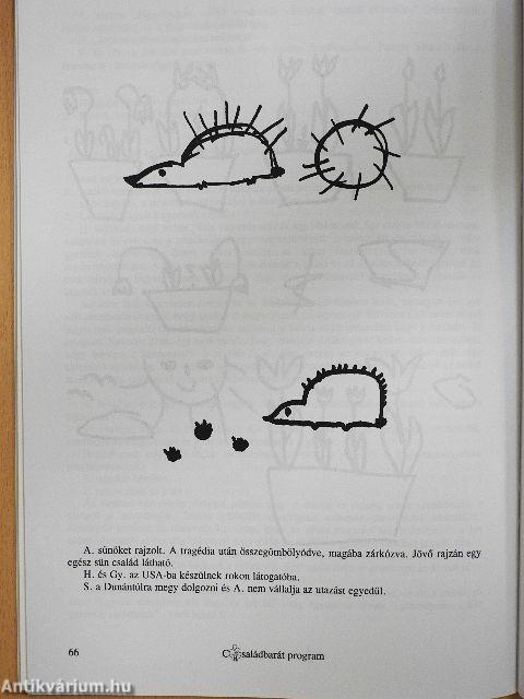 VI. Családbarát Konferencia 2000.