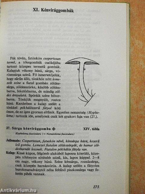 Ehető és mérges gombák