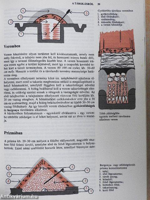 Házikerti kézikönyv