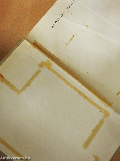 Az ősember tábortüzeinél