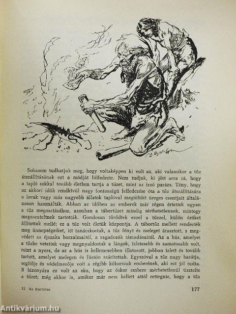 Az ősember tábortüzeinél