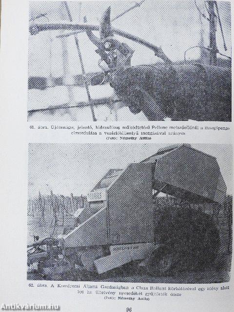 Új magasművelési módok a szőlőtermesztésben