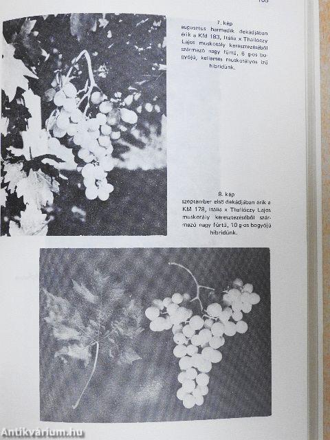 Jubileumi Tudományos Napok 1974. június 20-21.