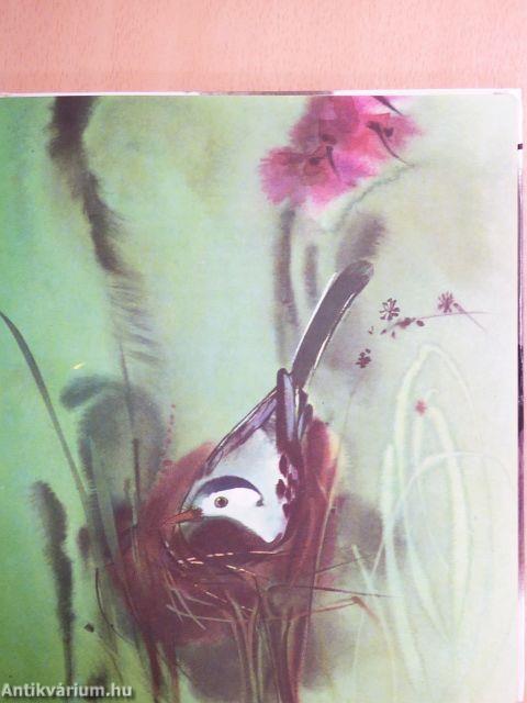 Az öreg erdő meséiből