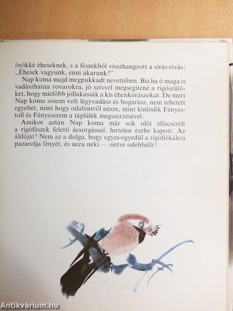 Az öreg erdő meséiből