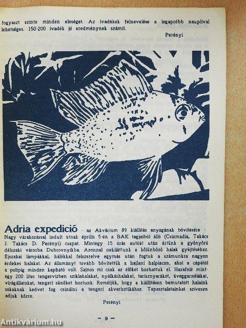 Akvárium - terrárium 1989