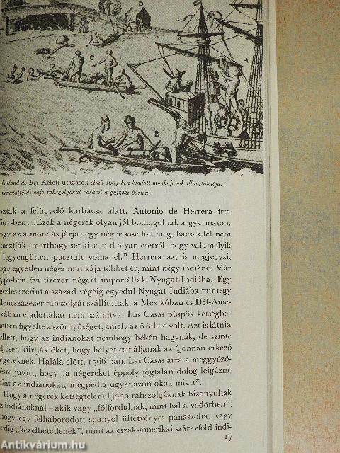 Fekete elefántcsont