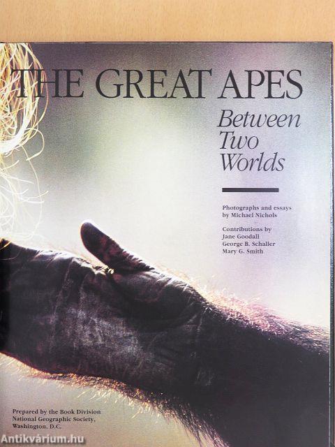 The Great Apes