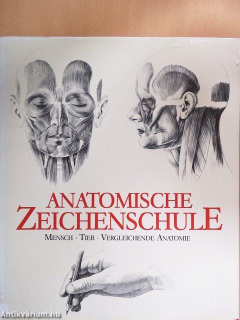 Anatomische Zeitchenschule
