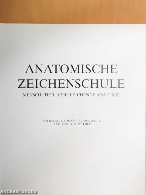 Anatomische Zeitchenschule