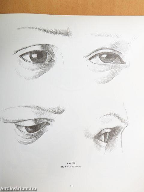 Anatomische Zeitchenschule