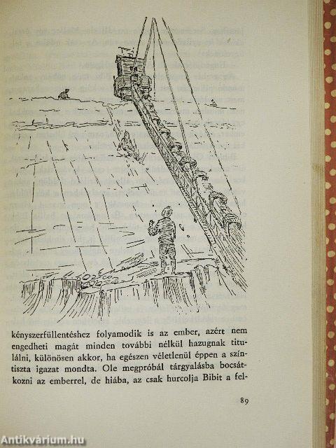 Bibi és az összeesküvők