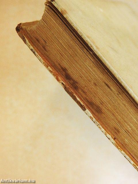 A tizenötéves kapitány