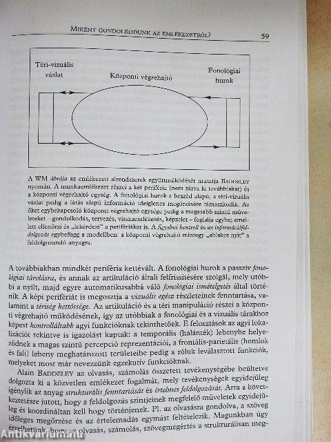 Fejezetek a pszichológia alapterületeiből
