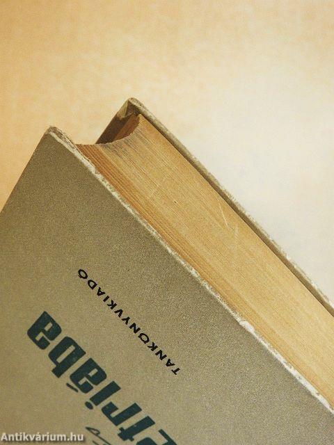 Bevezetés a geometriába