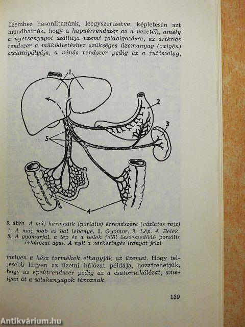 Májbetegségekről májbetegeknek