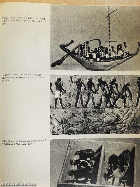 Az ember önmaga alkotója