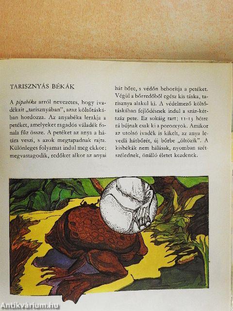 Fészkek, odúk, bölcsők