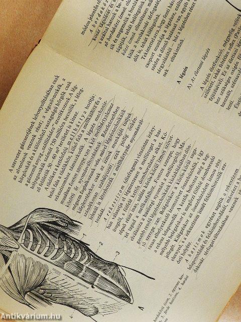 A beszéd művészete - 2 db lemezzel