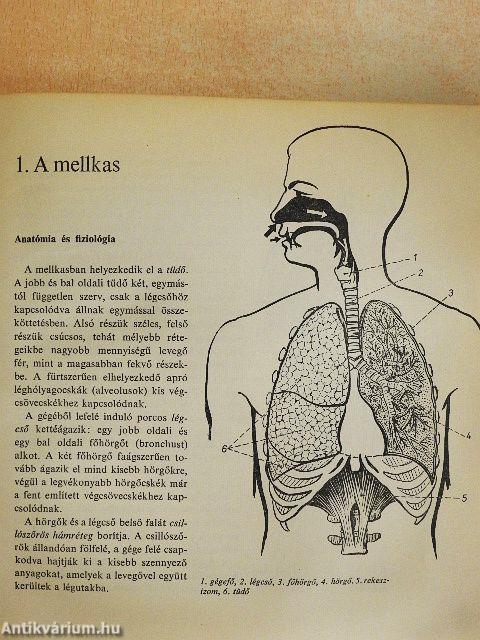 A beszéd művészete - 2 db lemezzel